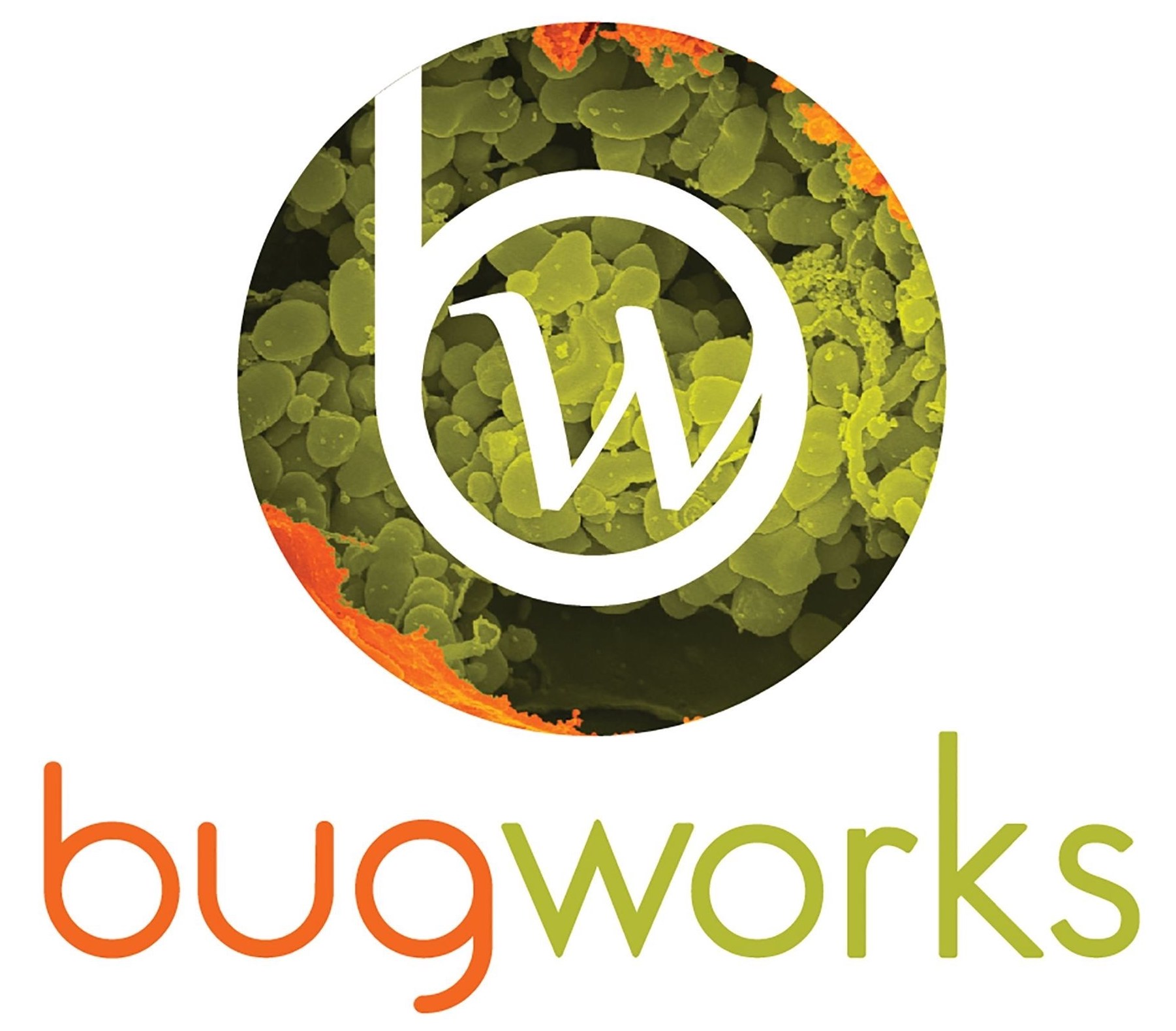 BugWorks